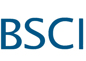 JinShi gabion factory have passed the BSCI certificated.